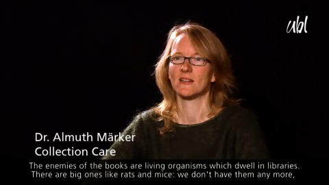 Videostill, I am working on...